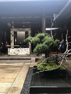 日式庭院景观精致盆景