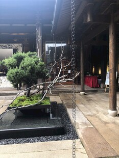 中式庭院景观雅致盆景