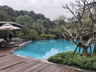 户外泳池边的自然景致