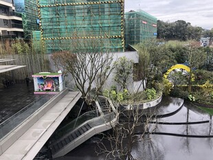 城市中的绿植与建筑景观