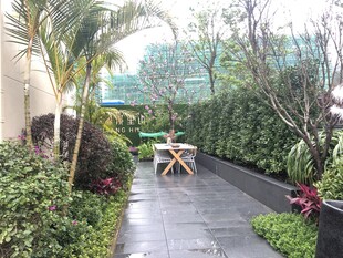 庭院绿植小径休闲场景