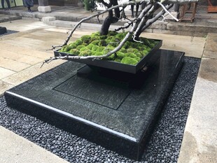 现代风格景观盆栽装置