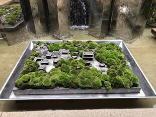 微型苔藓景观艺术展示
