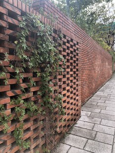 红砖墙上的绿植景观