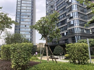 现代城市景观住宅环境