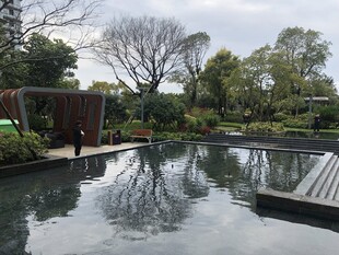 静谧园林水景景观