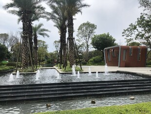 户外水景与棕榈树景观