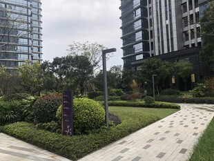 现代都市精致园林景观