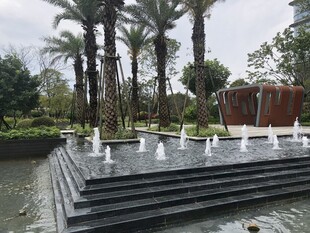 园林水景中的喷泉与棕榈树