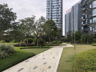 城市中的静谧花园小径