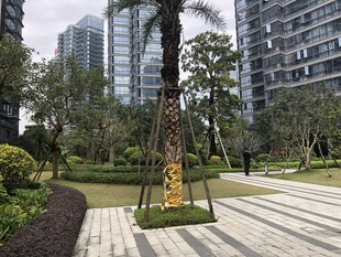 城市花园中的休闲景观