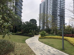 城市中幽静的园林小径