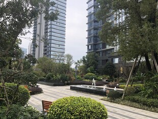 都市中的静谧花园景观