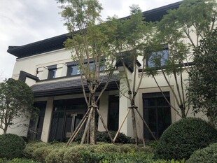 现代风格精致独栋别墅