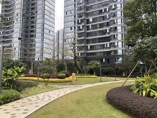 都市小区内的优美绿化景观