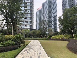 城市中的静谧花园步道