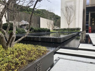 现代庭院景观设计一角