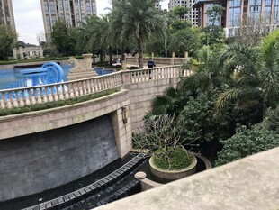 城市景观中的绿植与水景