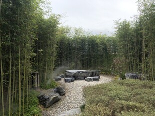 竹林间的车辆停放场景