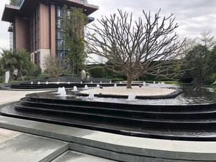 现代庭院景观中的喷泉设施