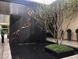 室内水景庭院景观设计
