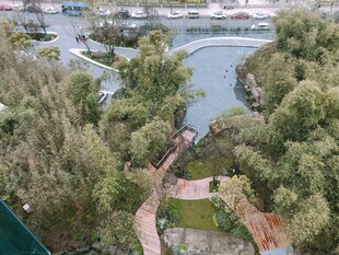 湖畔绿植环绕的美丽景致