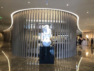 现代风格弧形金属装饰墙