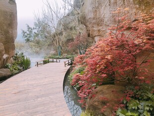 山间蜿蜒小径旁的绚烂景致