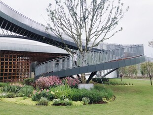 现代景观建筑旁的绿植景致