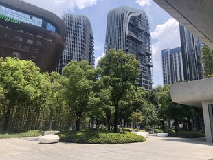 都市中的绿植景观