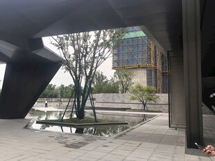 现代建筑旁的静谧水景