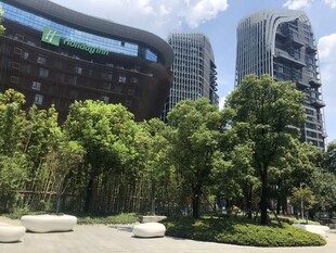 城市中的绿意景观空间