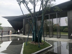 现代建筑旁的绿植景观