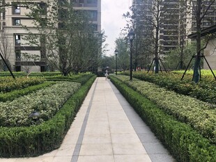 小区内整洁的绿植步道