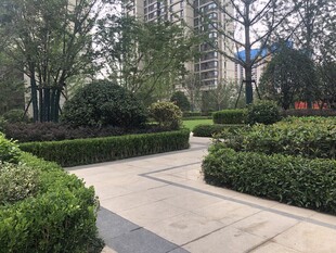 小区内整洁的园林景观