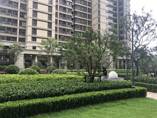 小区优美绿化景观