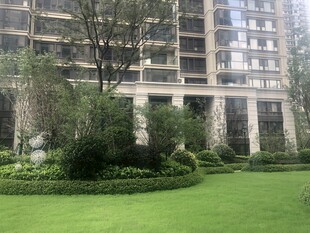 高端小区园林景观