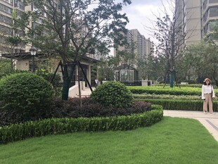 小区内的精致园林景观