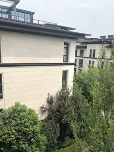 现代风格住宅旁绿植环绕