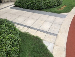 庭院石板小径与绿植景观