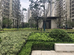 小区内的精致绿化景观