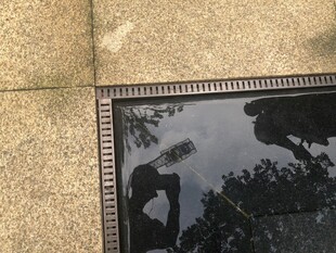 地面水洼映出树木倒影