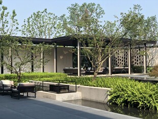 现代庭院景观设计