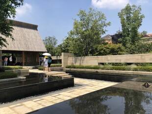 庭院水景与绿植景观