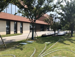 庭院绿树环绕的建筑景观