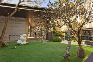 精致庭院景观设计