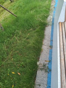 户外草地旁的蓝色步道