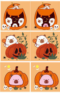 猫咪与南瓜的可爱瞬间