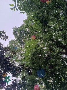 仰视繁茂绿树与彩色物件