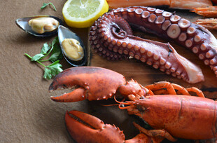 新鲜海鲜组合展示